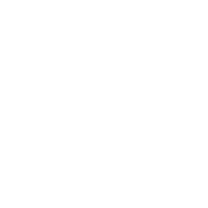 We Envision With You